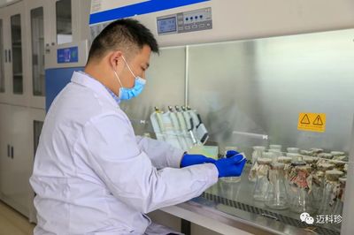 探析山東邁科珍生物科技 技術(shù)創(chuàng)新與產(chǎn)業(yè)發(fā)展的融合之路